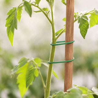 Arame de Jardim BBQ 5 Metros Verde para Suporte de Plantas - Twisted Media