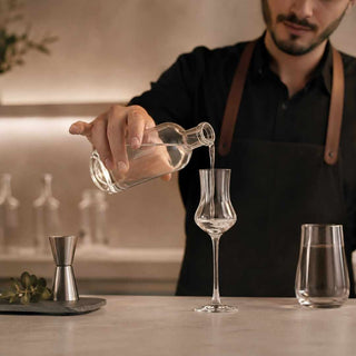 Conjunto de 6 Copos de Grappa Schott Zwiesel 95ml - Twisted Media