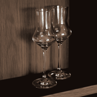 Conjunto de 6 Copos de Grappa Schott Zwiesel 95ml - Twisted Media