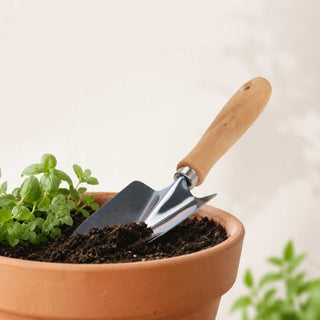 Pá de Jardinagem BBQ – Prática para Plantio, Vasos e Hortas - Twisted Media