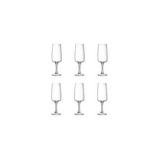 Taças de Champanhe Luminarc Equip Home 17cl Conjunto de 6 - Twisted Media
