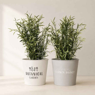 Vaso Redondo para Plantas 22cm – Prático, Resistente e Decorativo - Twisted Media