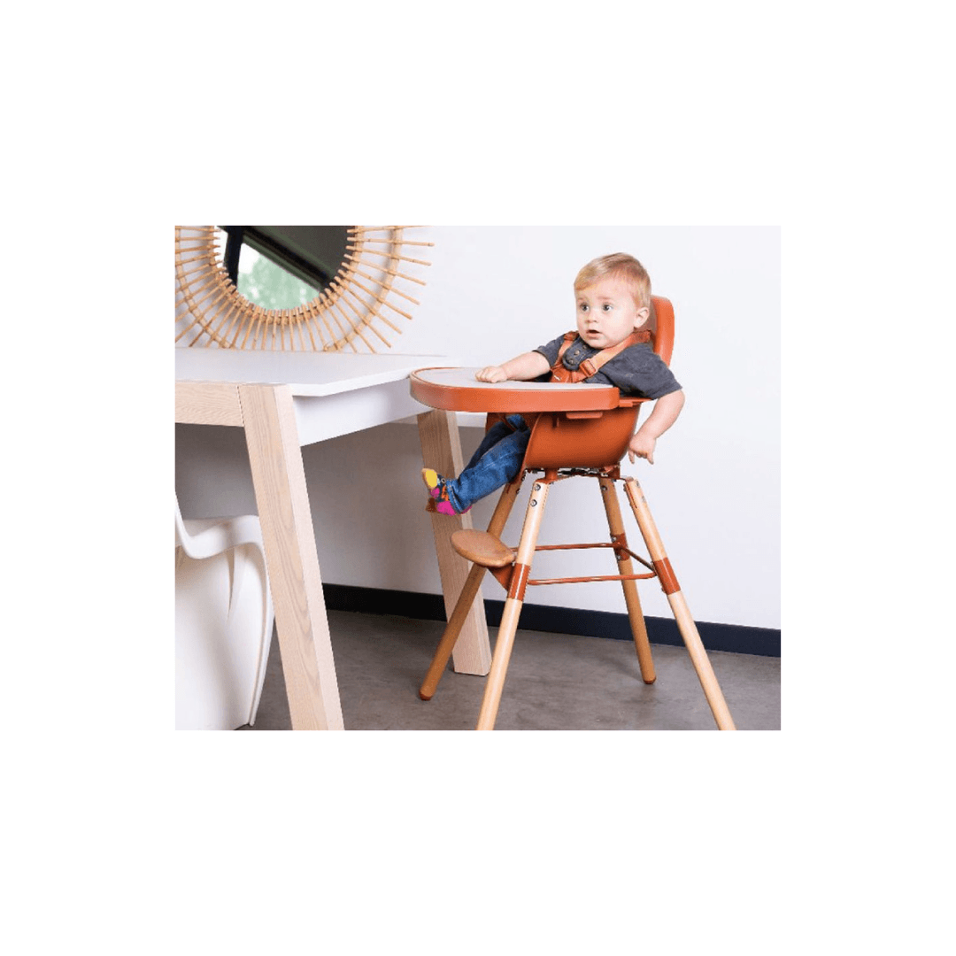 Evo Highchair High Chair For Kids Evowood CHILDHOME High Chair For