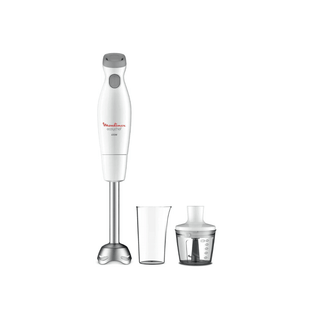 MOULINEX Varinha Mágica Easy Chef 2 em 1 450W - Twisted Media