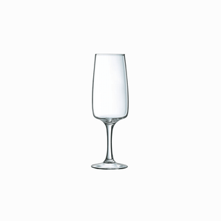 Taça de champanhe Equip Home com espumante servido, vista lateral.